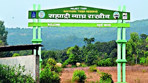 Sahyadri Tiger Project