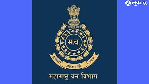forest department
