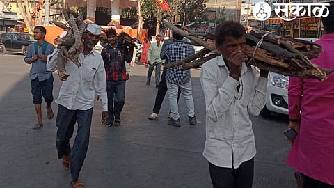 Adivasi brothers fetching firewood for cooking due to the eight-day protest over the forest land issue.