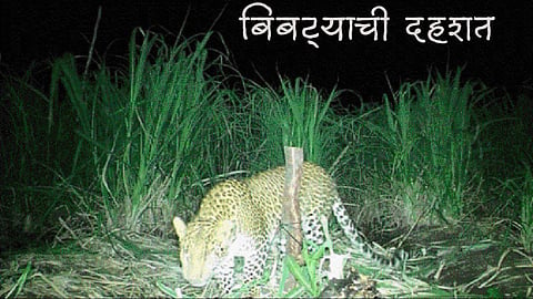 Kokan News