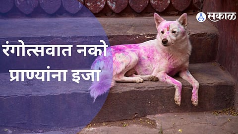 Holi 2024