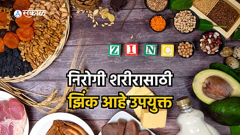 Zinc Rich Foods