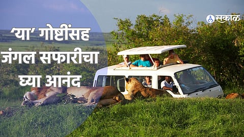 Summer Travel Tips