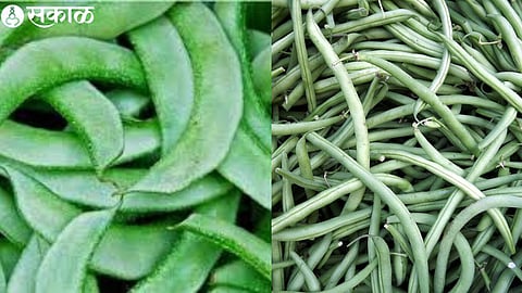 French beans