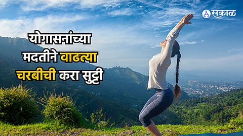 Yoga Tips