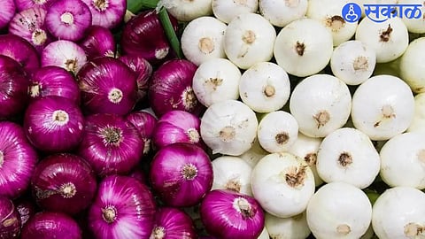 Onion Export