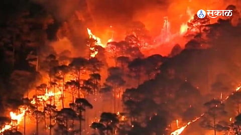 Uttarakhand Forest Fire : उत्तराखंडमध्ये जंगलाला भीषण आग! वणव्यांमुळे ३३.३४ हेक्टरवरील झाडे जळून खाक