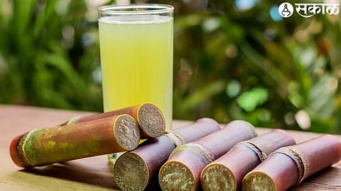 sugarcane