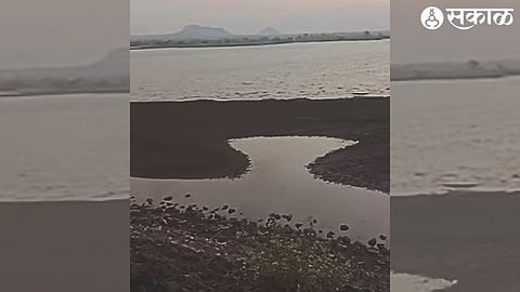 Water storage in Palkhed Dam