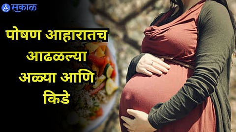 Pune News