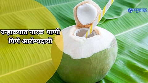 Coconut Water: उन्हाळ्यात नारळाच्या पाण्याचा 'या' 4 पद्धतीने करा आहारात समावेश, राहाल हायड्रेट