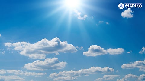 buldhana weather update heat wave water shortage forest animal