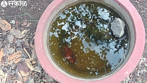 Water is stored in earthen pots for animals and birds.