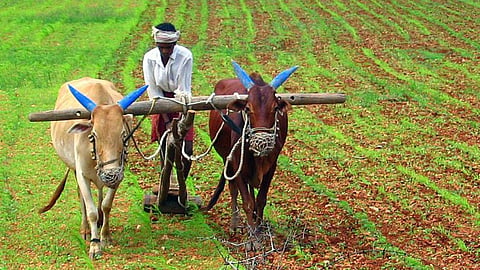 Ratnagiri Sindhudurg Lok Sabha