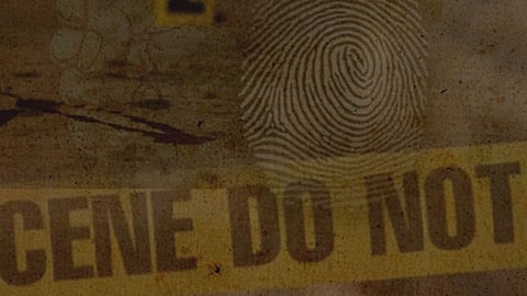 Fraud Crime