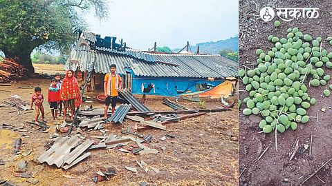 Chintaman Ghangle's house damaged due to storm & Chandrakant Gavit's mango damaged.