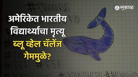 Blue Whale Challenge