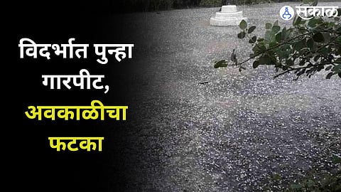 Vidarbha News