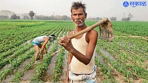 Farmer