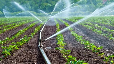 Drip Irrigation Subsidy