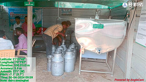 60 percent family animal farming milk business agriculture nagpur