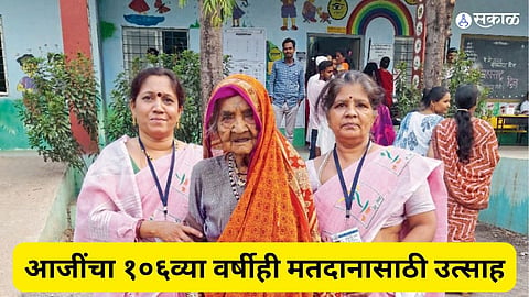 Loksabha Election Voting