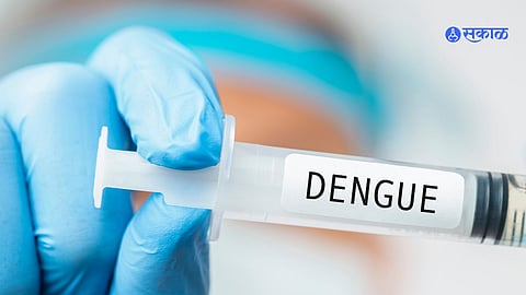 National Dengue Day 2024