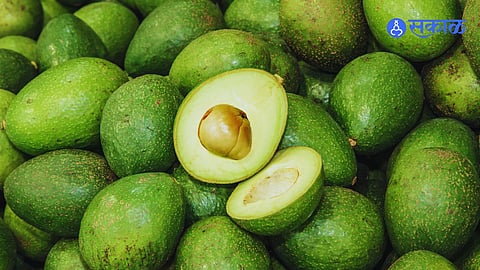 Avocado Benefits