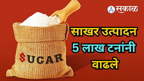Sugar Season