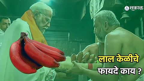 PM Modi Visited Amman Temple: