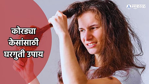 Hair Care Tips