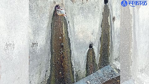 Flowing water from the living spring in the wall of the municipal school premises at Gadge Maharaj Math.