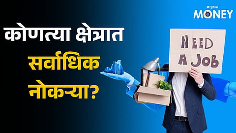 Jobs For Freshers