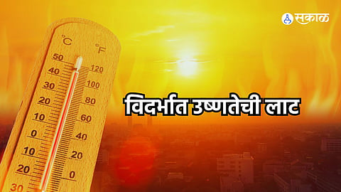 Heat Wave In Vidarbha