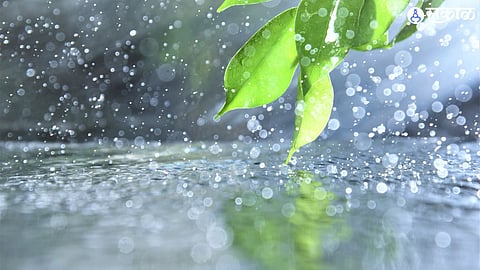Ahmednagar Rain Update