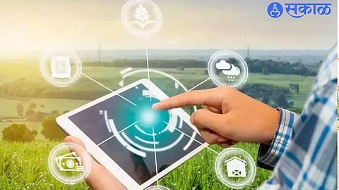 Digital Crop Survey