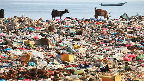 माहुलमध्ये प्रदूषणामुळे नागरिक त्रासले आहेत.