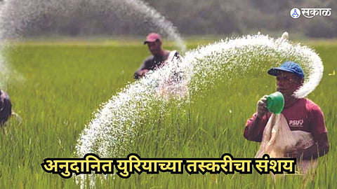 Subsidized Urea