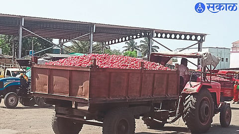 Niphad Onion tractor in market committee