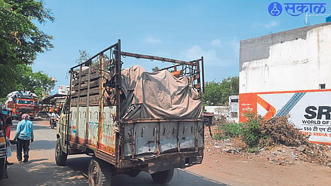 Scene of illegal felling of trees and being transported by tempo.