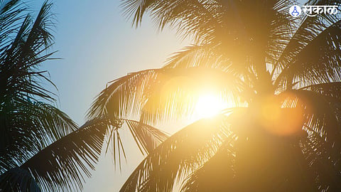 Akola Weather Update