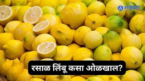 Juiciest Lemon