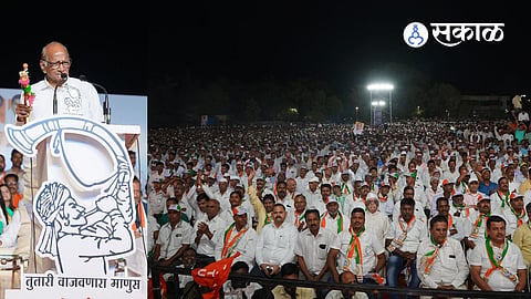 Sharad Pawar Shashikant Shinde Prachar Sabha Satara