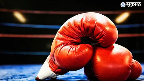 Erloda Boxing Cup