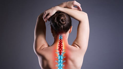 Spine Disease