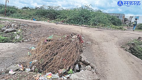 thorny bushes that fell on the drain near Shiva Road in Soygaon