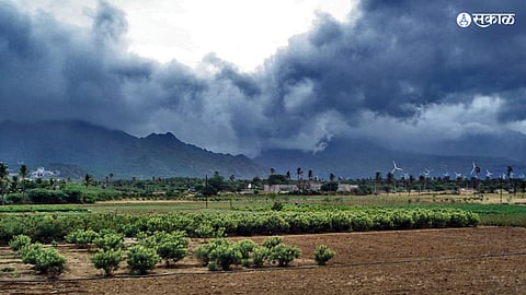 Nashik Monsoon News