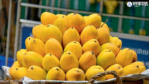 Nitish Kumar presents mangoes to Prime Minister narendra modi on victory lok sabha election 2024