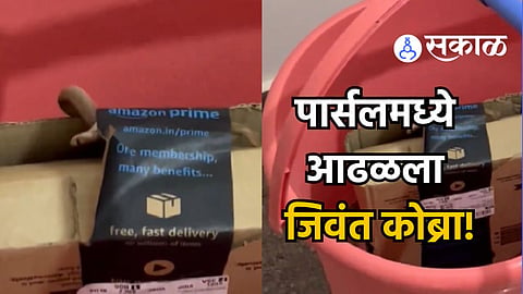 Amazon live cobra