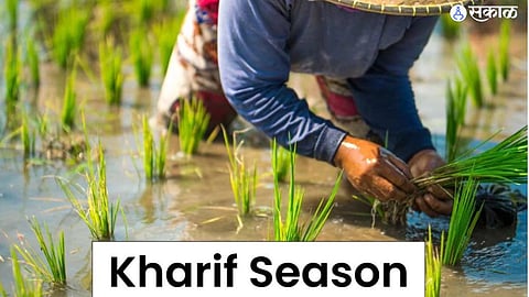 Kharif Season